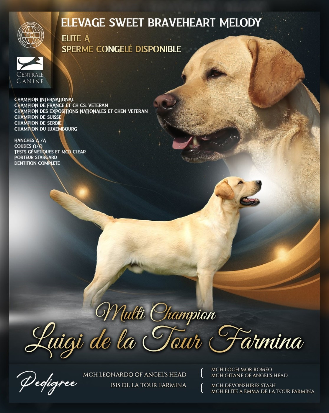 CH. Luigi de la Tour Farmina