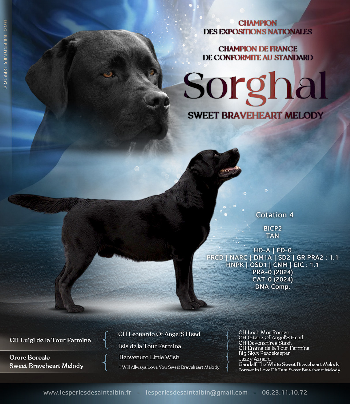 CH. Sorghal Sweet Braveheart Mélody