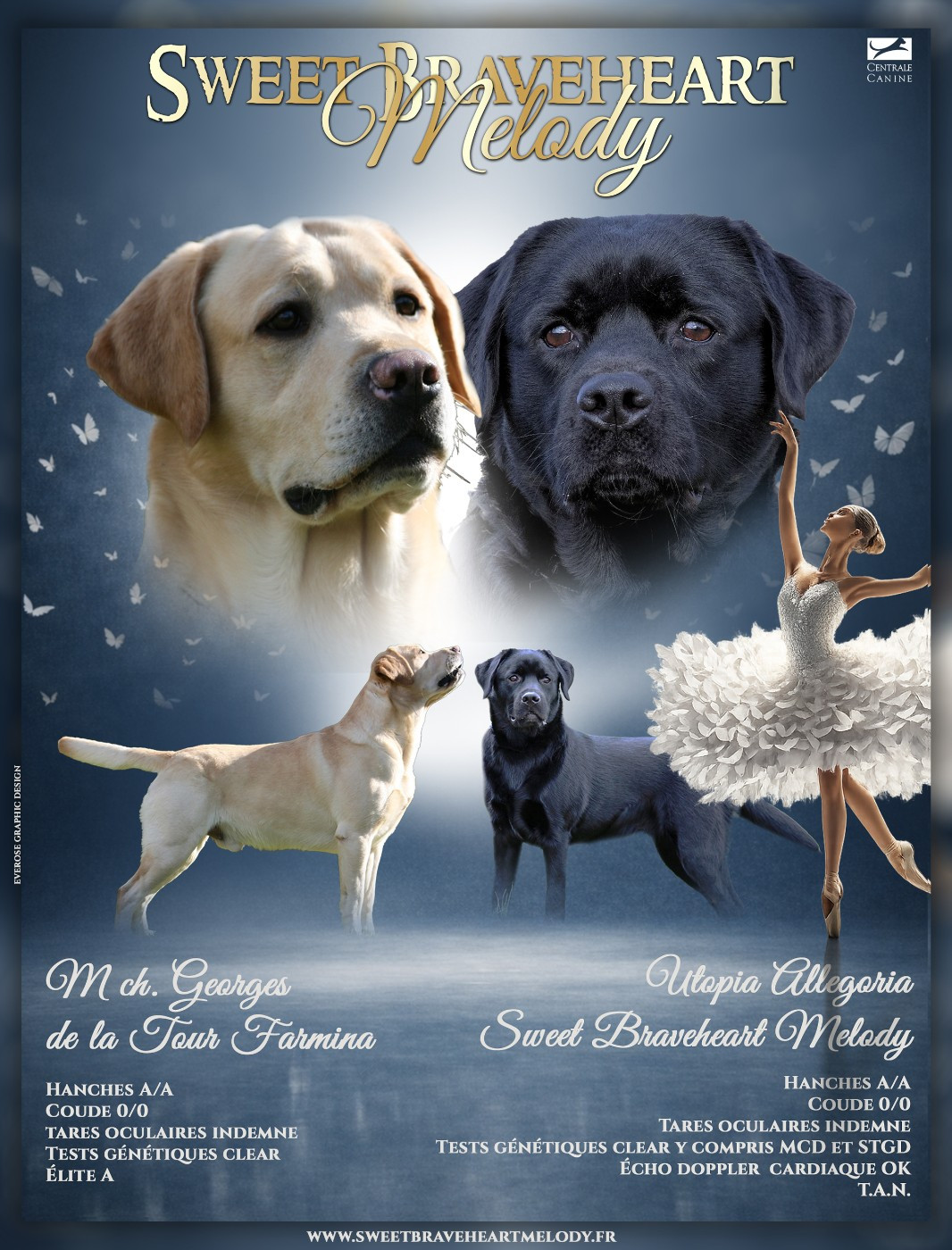 Mariage ALLEGRA & GEORGES